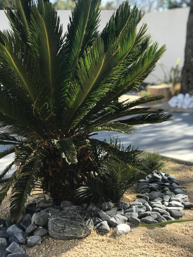L'Oasis Vendargues Bed & Breakfast Dış mekan fotoğraf