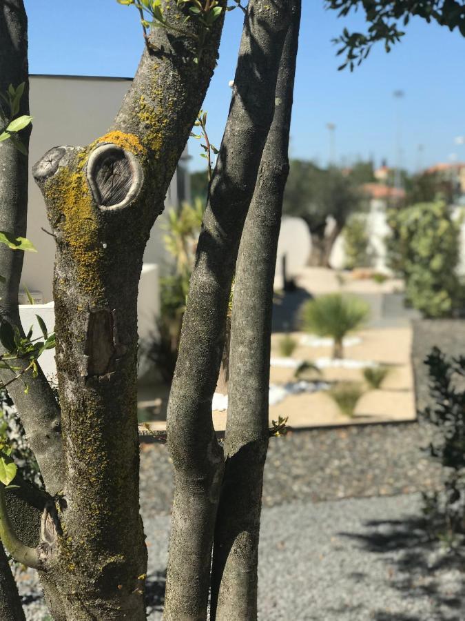 L'Oasis Vendargues Bed & Breakfast Dış mekan fotoğraf